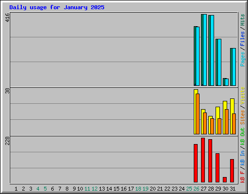 Daily usage for January 2025
