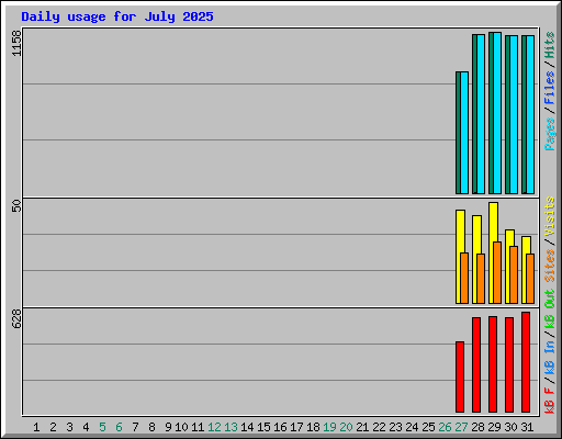 Daily usage for July 2025