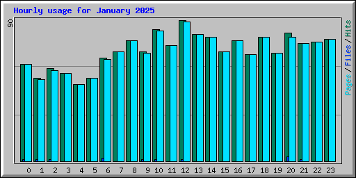 Hourly usage for January 2025