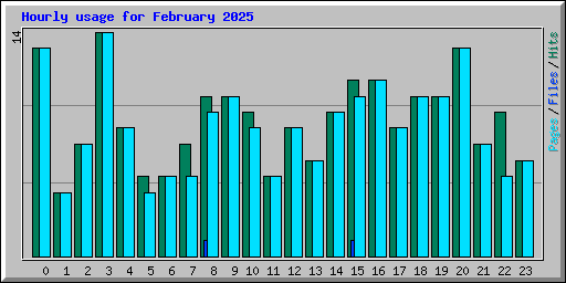 Hourly usage for February 2025