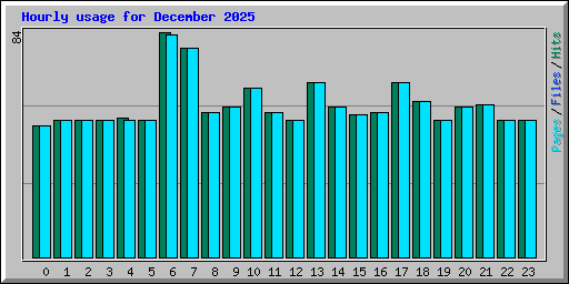 Hourly usage for December 2025