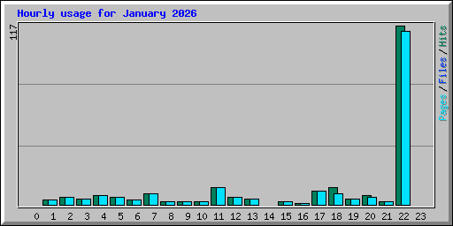 Hourly usage for January 2026